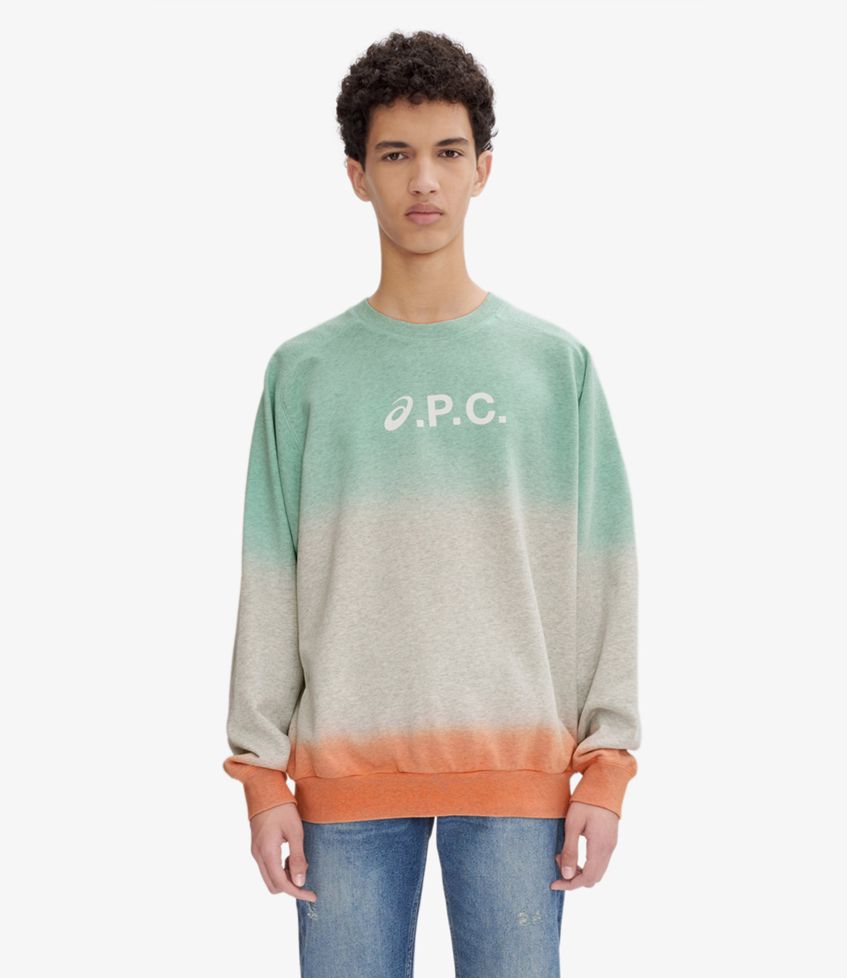 A.P.C.(アーペーセー) 90~00'sプリントスウェットプルオーバー L