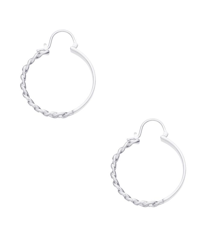 darwin earrings silvertone